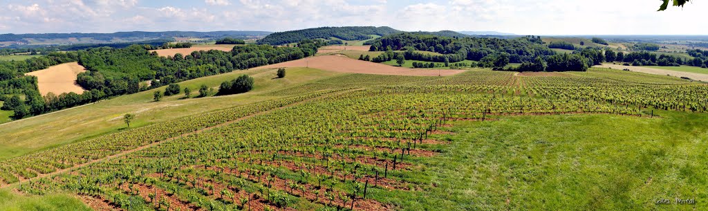 Château d"Arlay - domaine vinicole - Arlay - Jura by Gilles Perréal