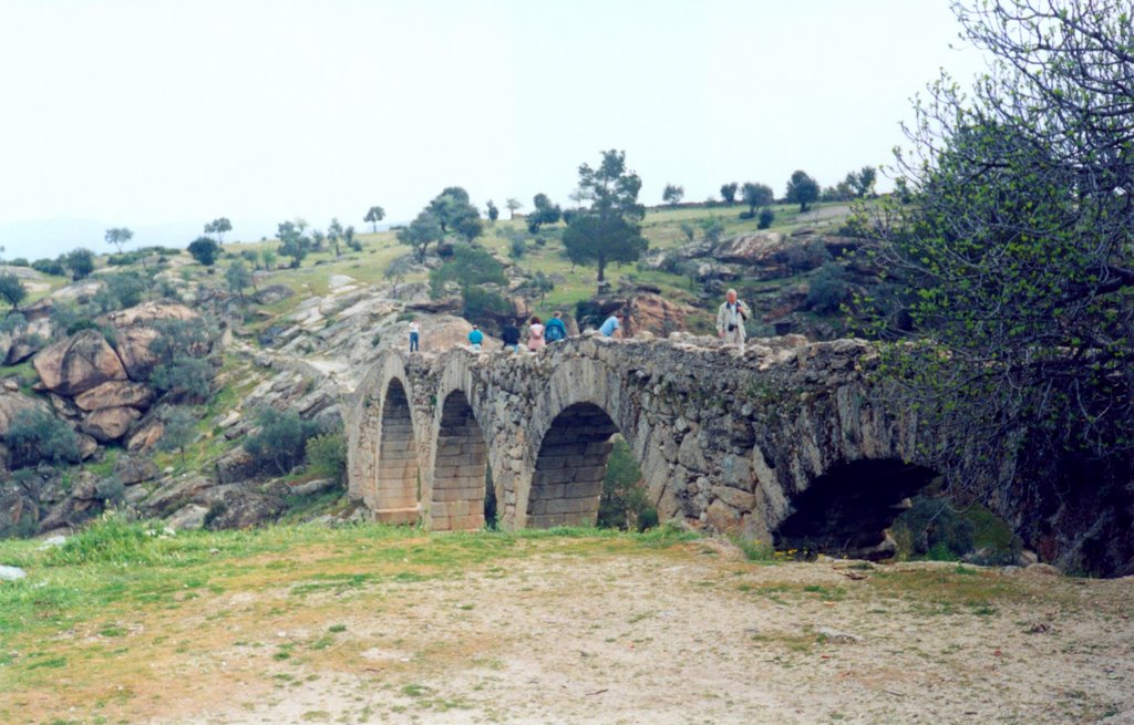 Çine Çayı İncekemer Köprüsü - ancient bridge 3 downward the çine river dam, NE view by Andreas Czieborowski