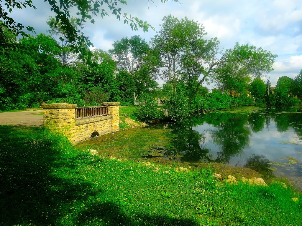 Tenney Park - Thornton Avenue Spillway by Corey Coyle