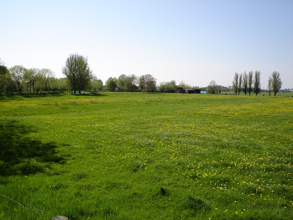 Noord Linschoterzandweg, mei 2008 by sbaauw