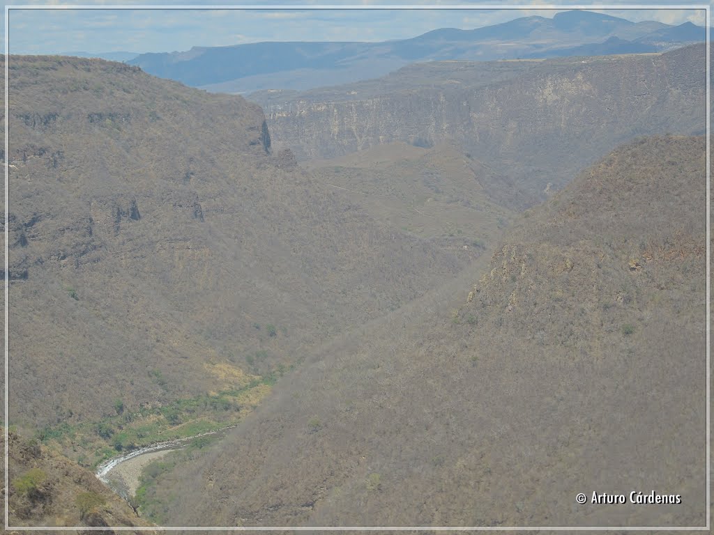 Barranca en tiempo de secas by Arturo Cárdenas L