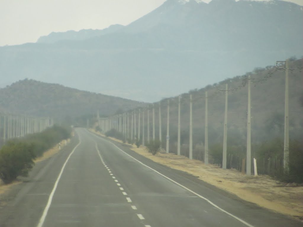 A 339 Kms de Mendoza by Luis Cesar