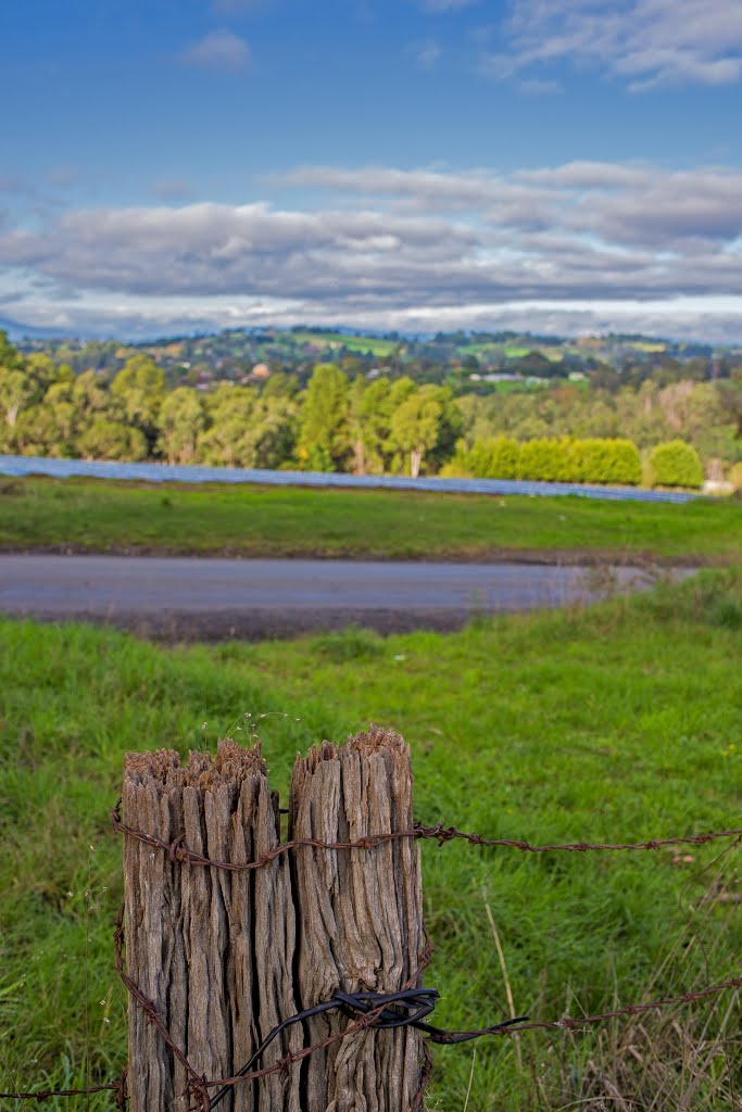 Weathered post by jgilbo