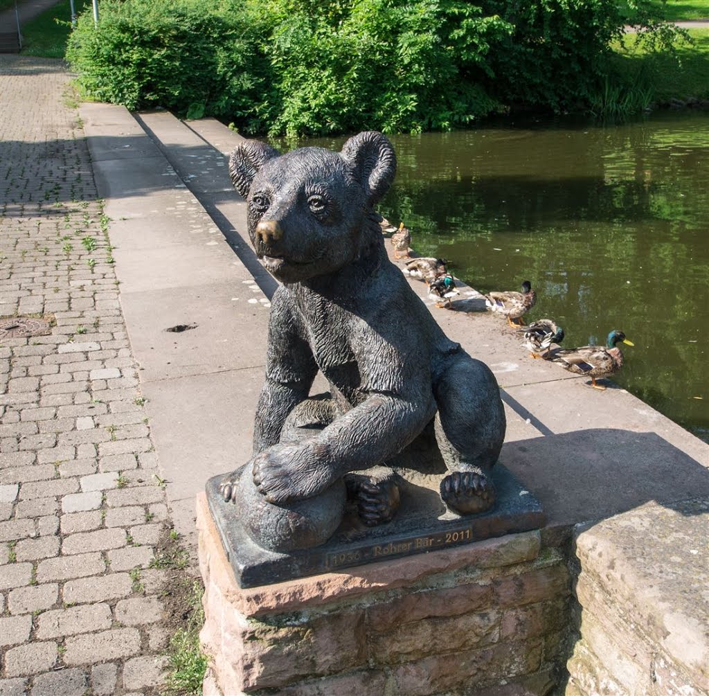 Rohrer Bär mit gefiederten Fans by woher