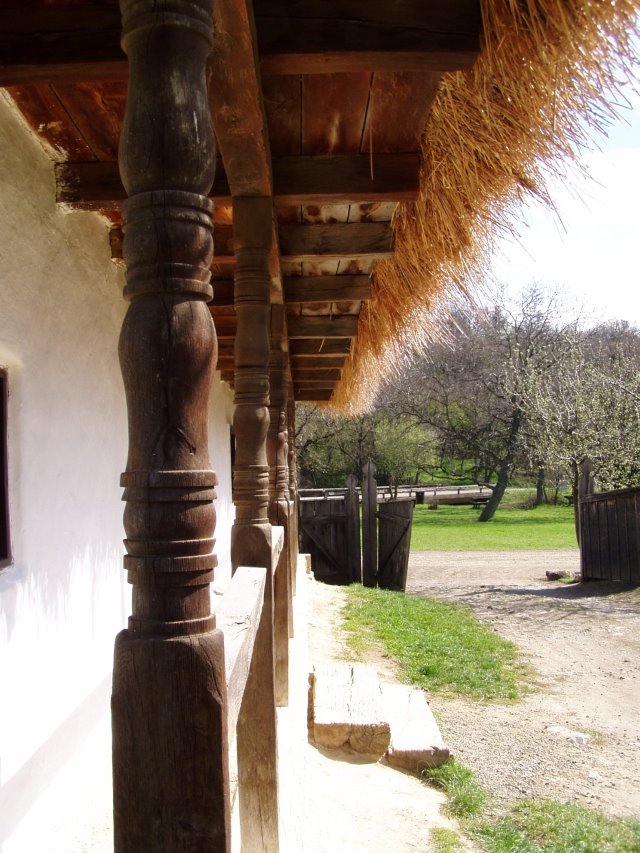 Skanzen by havasin