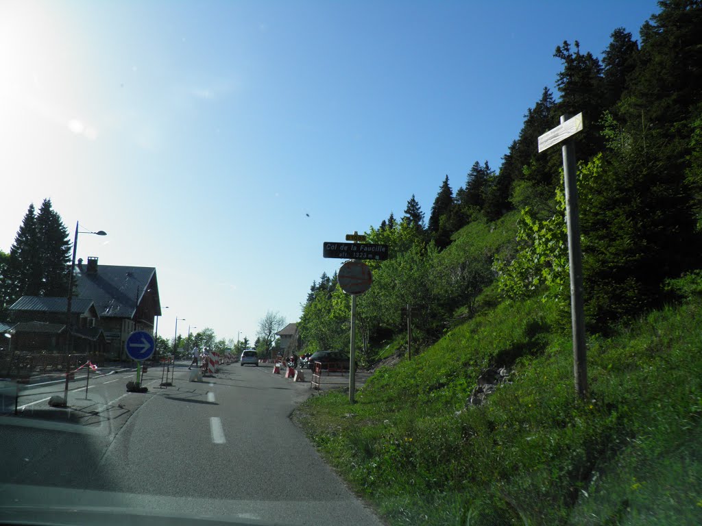 Col de la Faucille by Charbela