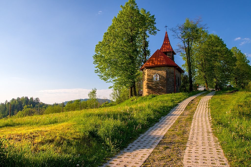 Piwniczna Zdrój - Beskid Sądecki by tadeusz dziedzina©