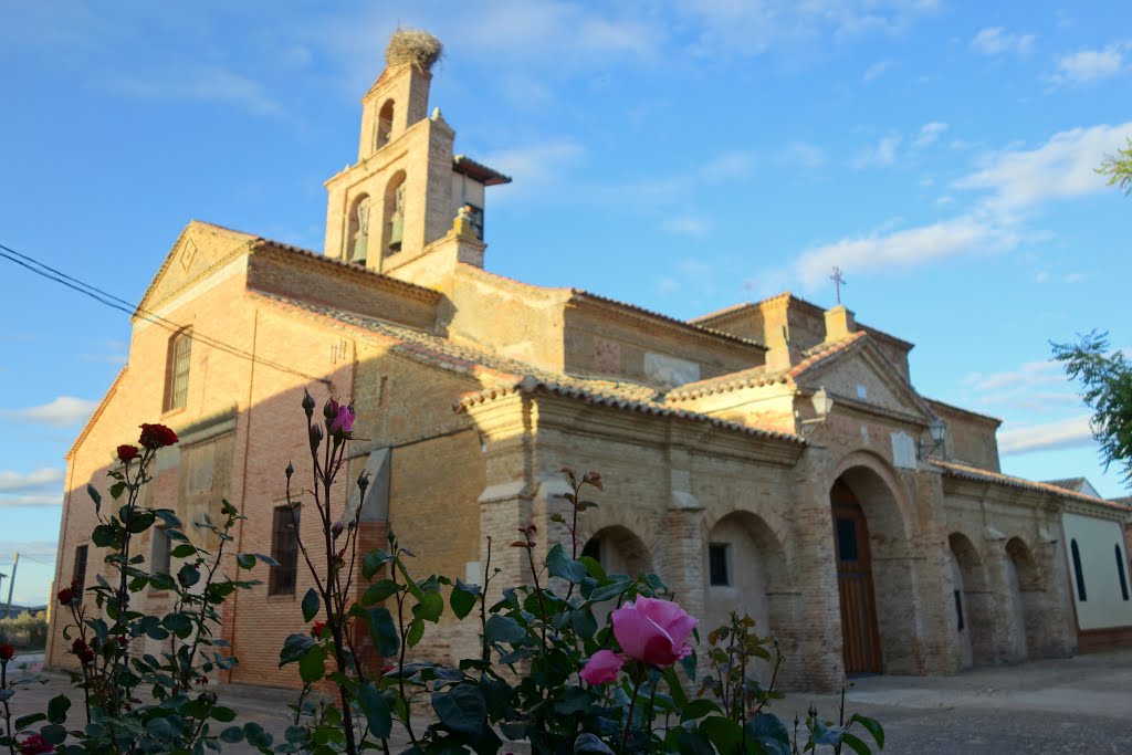 San Juan Evangelista, Villafrades de Campos by tejoleto