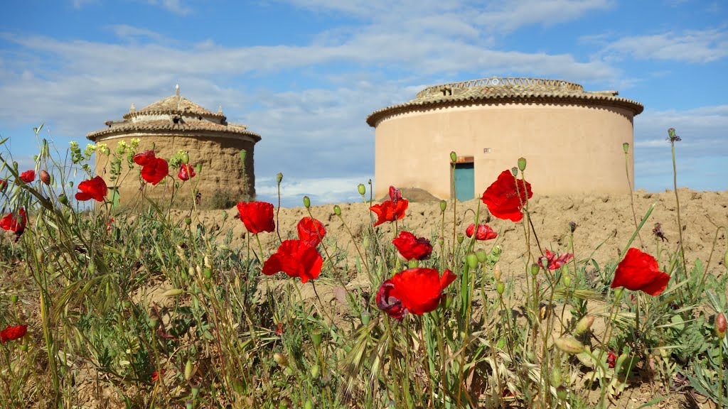 Palomares de Villafrades de Campos by tejoleto