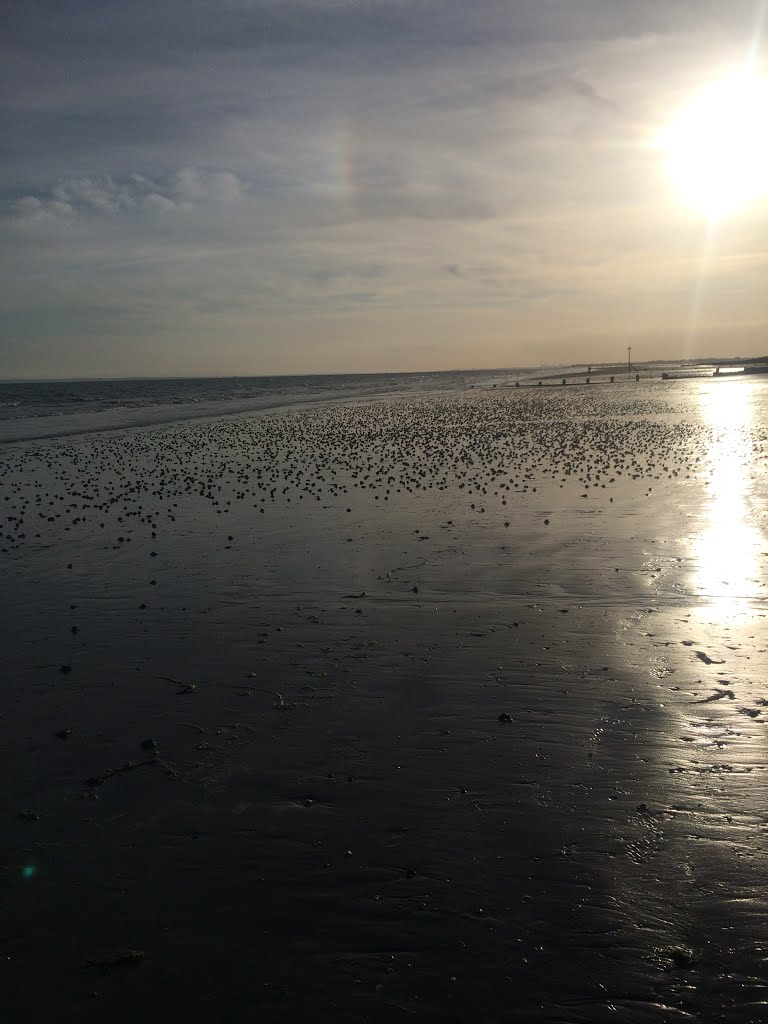 Sunset on Wittering beach by sarahfisher