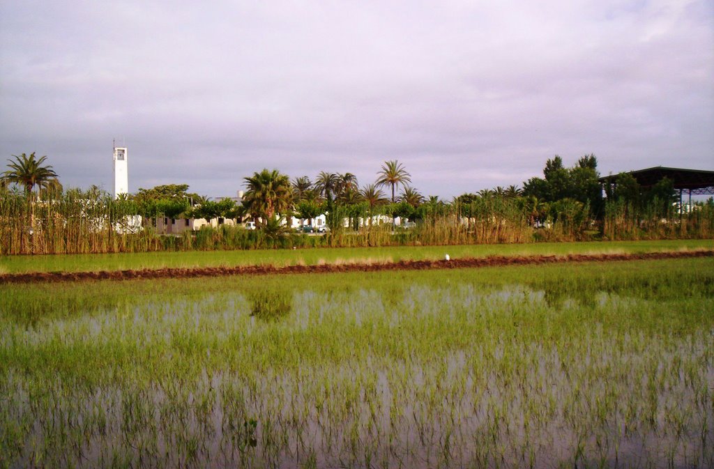 Poble Nou del Delta by Jordi Carbonell