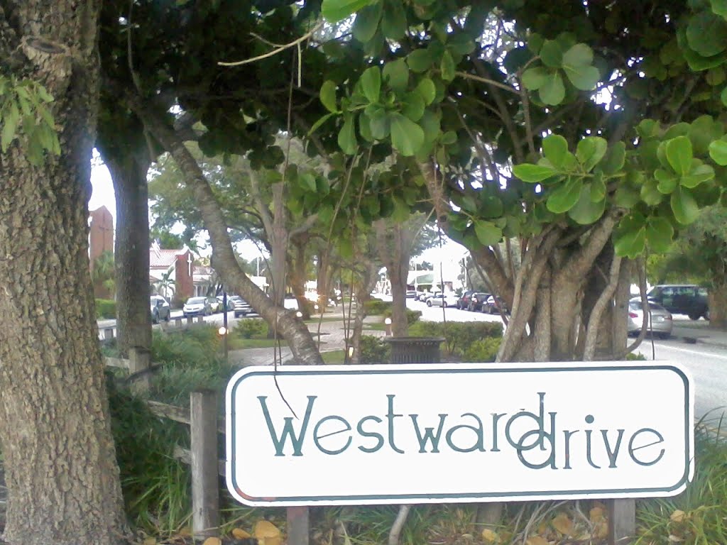 Westward Drive Sign by John M Lopez