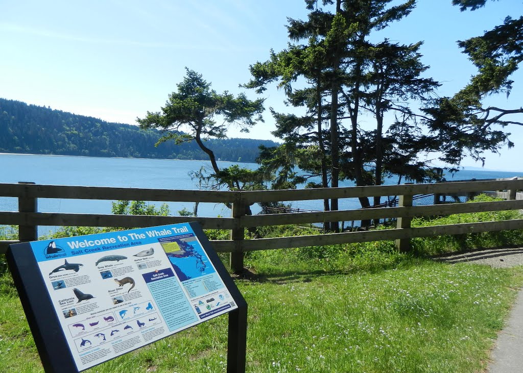 Welcome to the Whale Trail marker, Crescent Bay, Salt Creek Recreation Area, 3506 Camp Hayden Rd, Port Angeles, WA by Midnight Rider