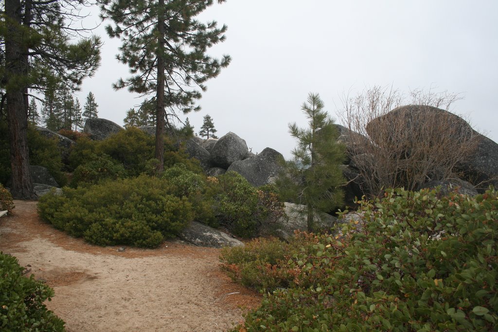 Boulders at Sand Harbor Lake Tahoe by Keith Driscoll