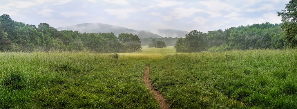 Tiefauwiese by Simon Matzinger