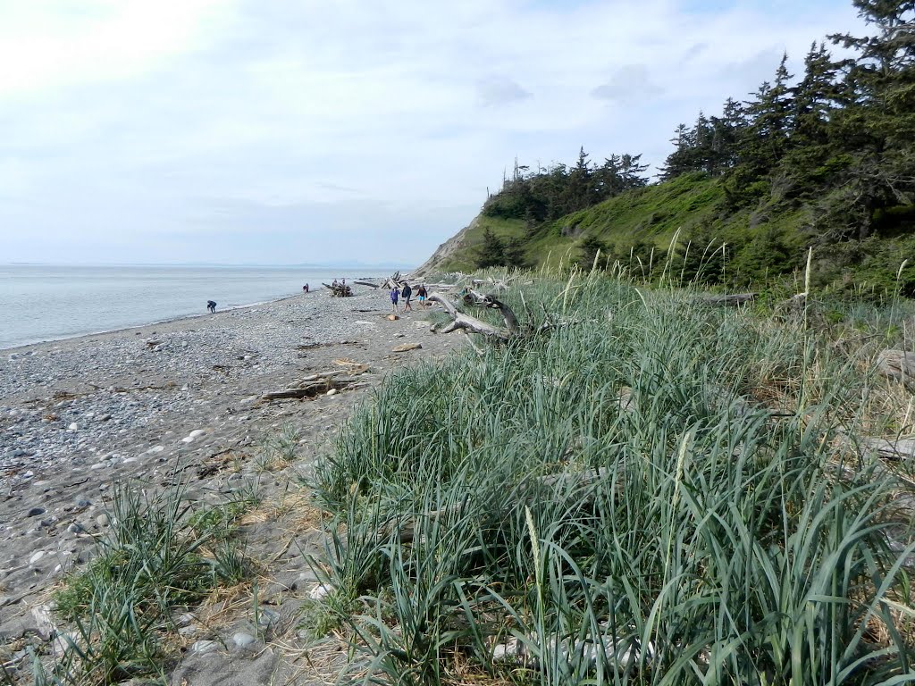 Fort Ebey State Park, Whidbey Island, Pacific Northwest Trail, Coupeville, WA by Midnight Rider