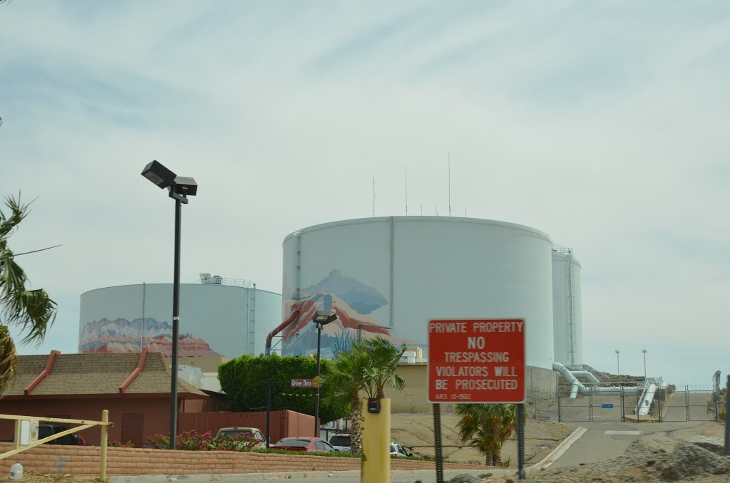 Yuma Mineral Spring by Buddy Rogers