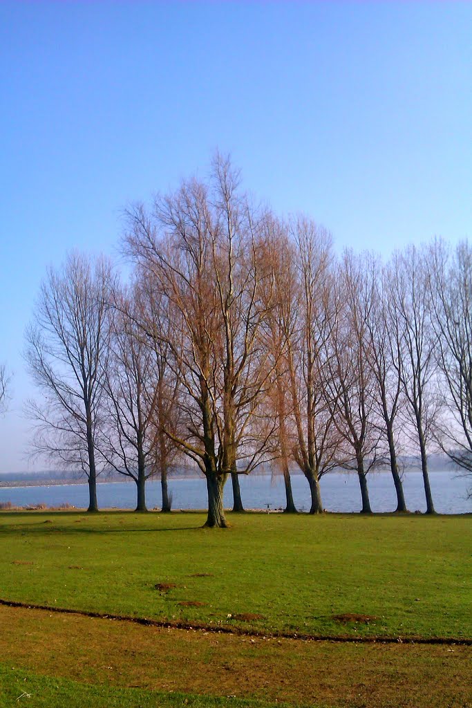 Rutland Water by martingoyder