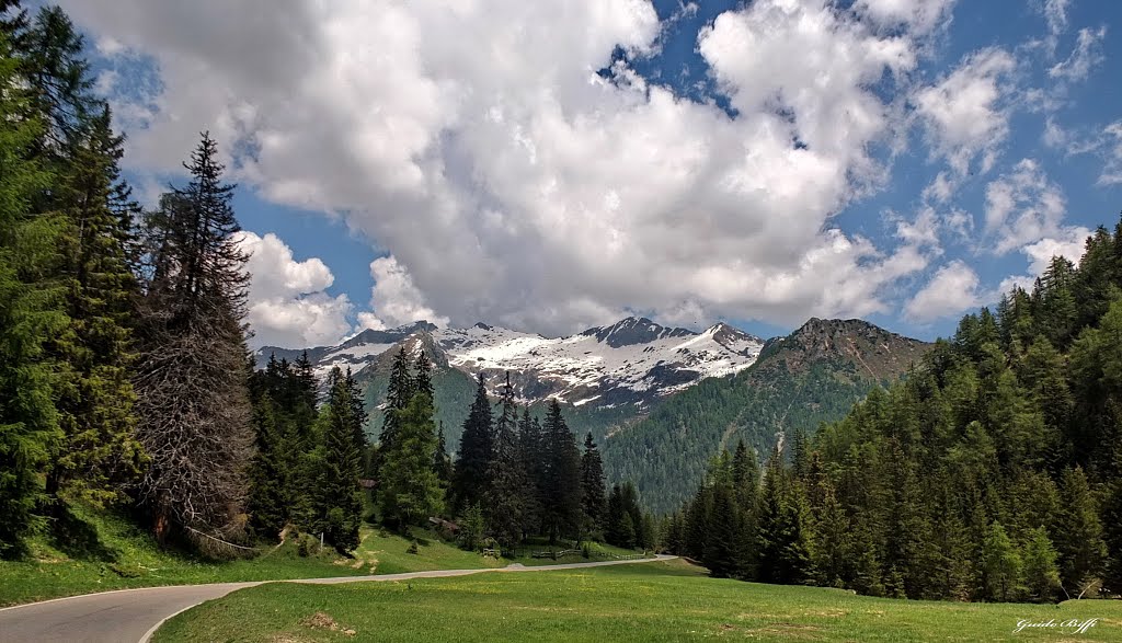 Strada che porta al passo Crocedomini by guido.biffi