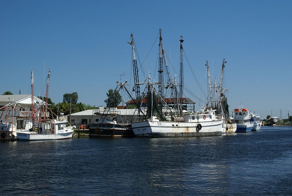 Tarpon Springs Shrimpers by ladybug591