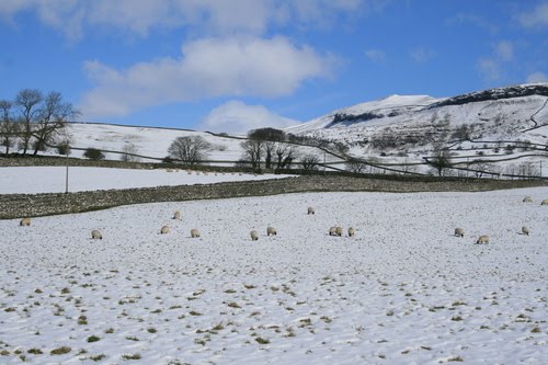 Fields around Austwick by LindseySmith