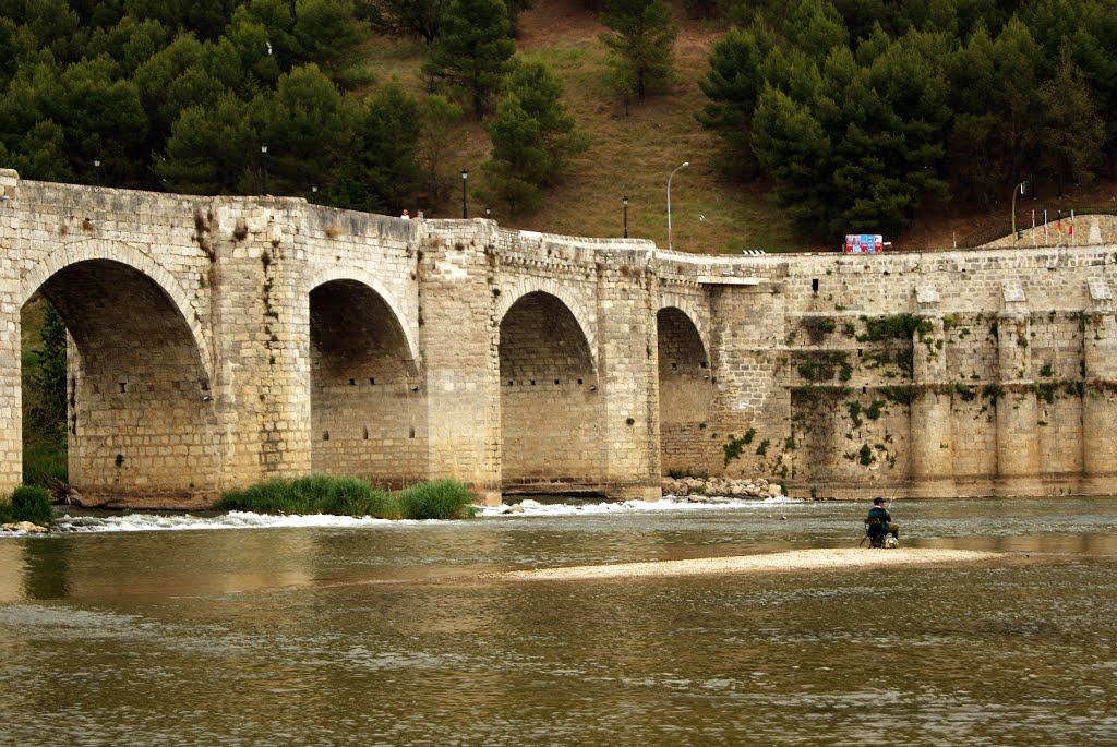 Puente de Cabezón de Pisuerga by Dejavú