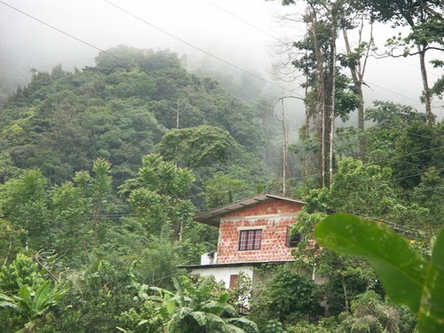 Mountains - Trinidad by afaunman