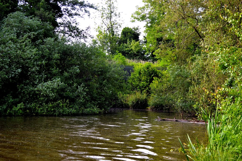 Mill Pond by martingoyder