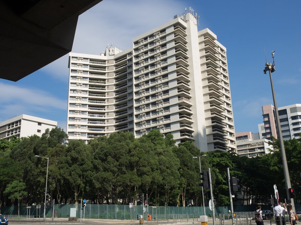 Prince of Wales Hospital Shai Tin Hong Kong (2) by ArthurCQ