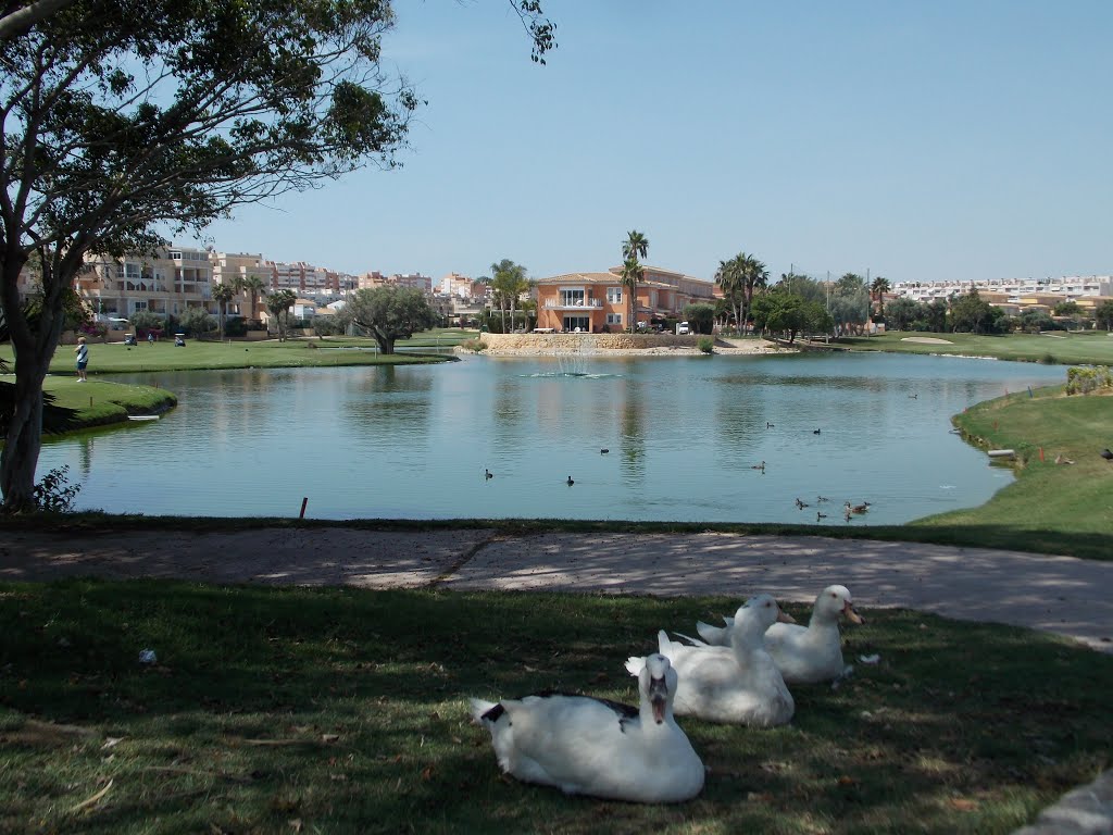 Golf en San Juan, Alicante.(Estepa32). by Estepa32