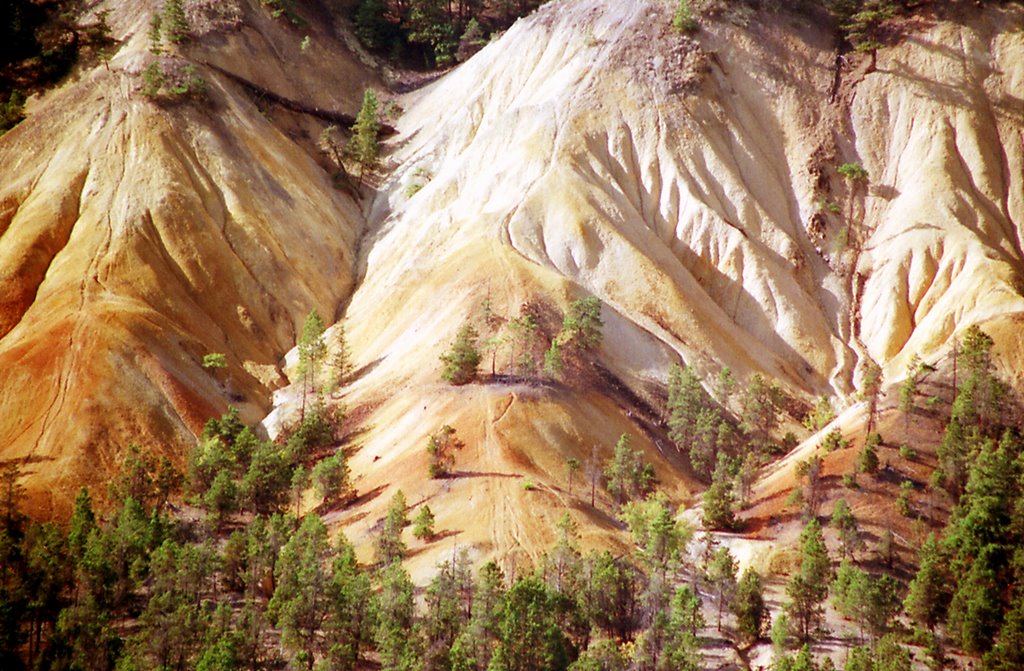 Cariboo Highway 97 by ehrbar