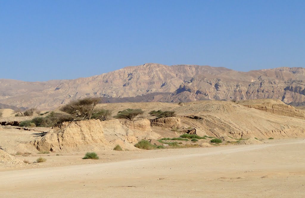 WONDERFUL WORLD DESERT EILAT by cohensharli