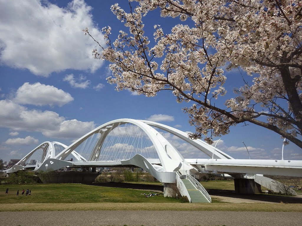 豊田大橋 by kantoku