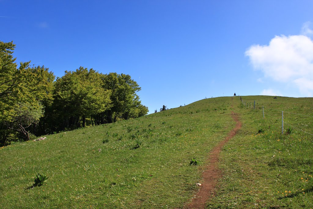 Blick zum Gipfel des Röti by Uwe Häntsch