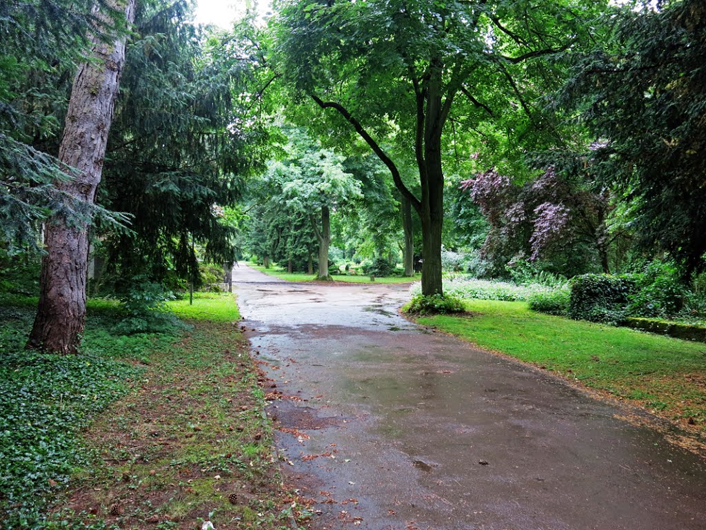 Frankfurt - Hauptfriedhof. by R.F.Rumbao