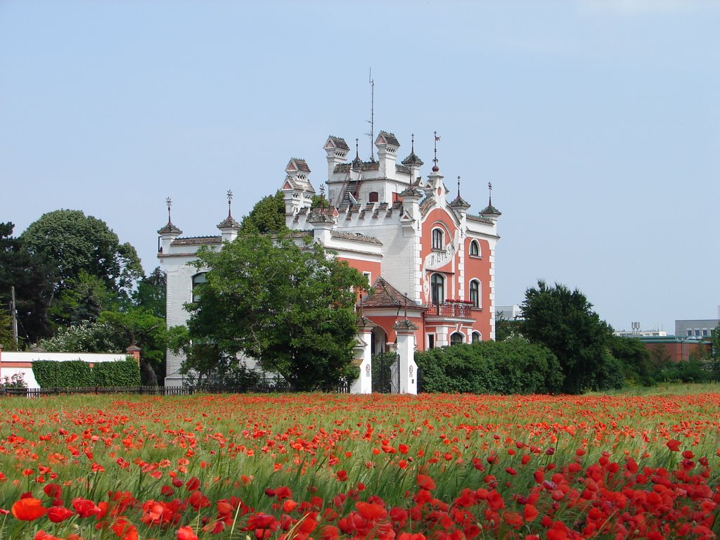 "Schicht-castle" in summer by ChristianWolf