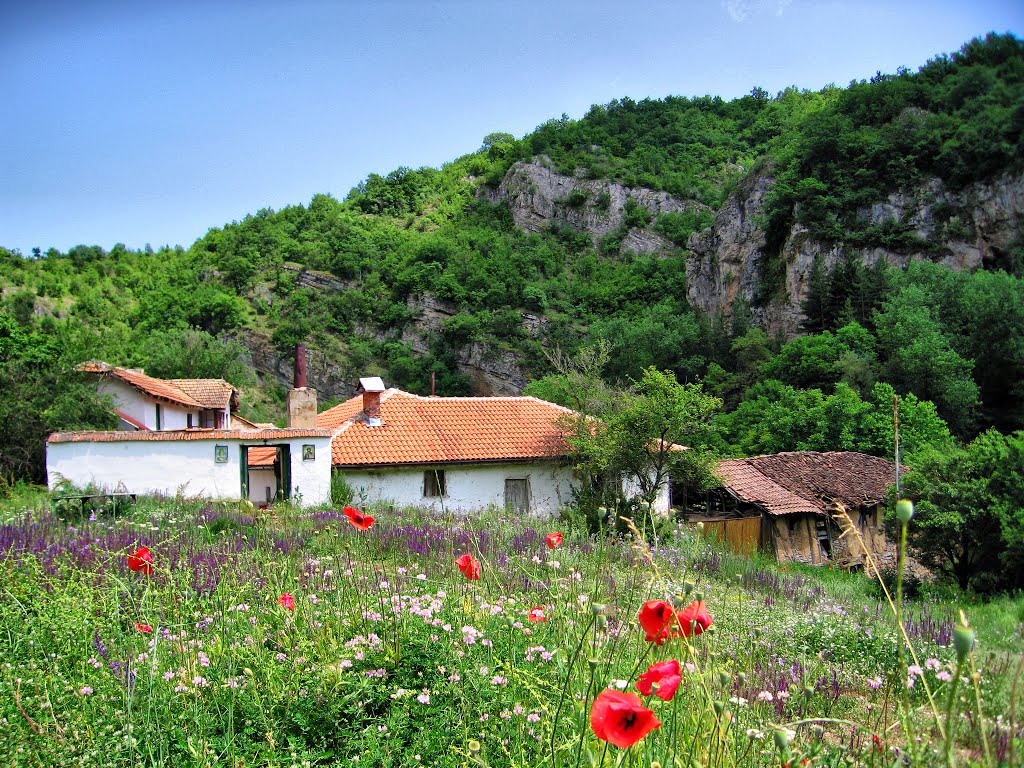 Razboishte Monastery, Bulgaria by >Mariyana Mirando