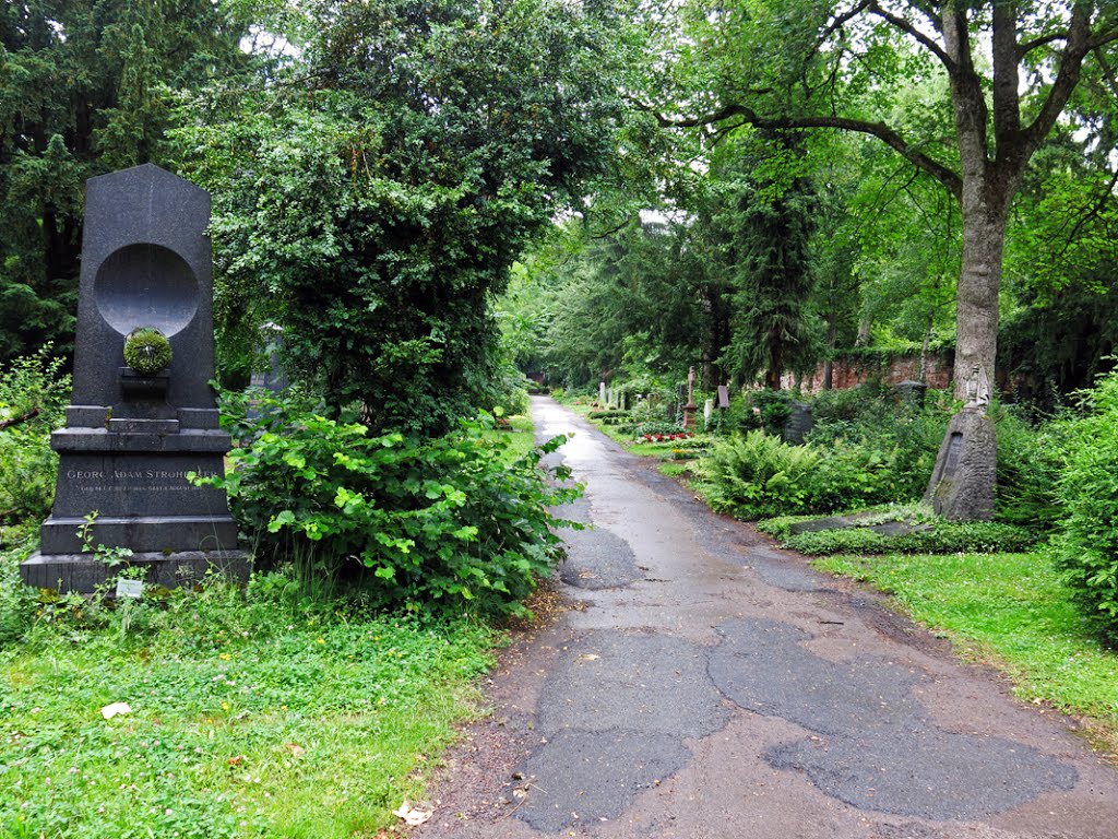 Frankfurt - Hauptfriedhof. by R.F.Rumbao