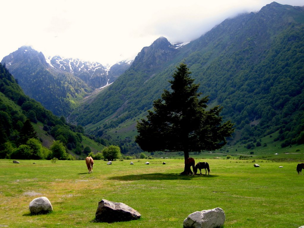 Lac d'Estaing by Sémoy