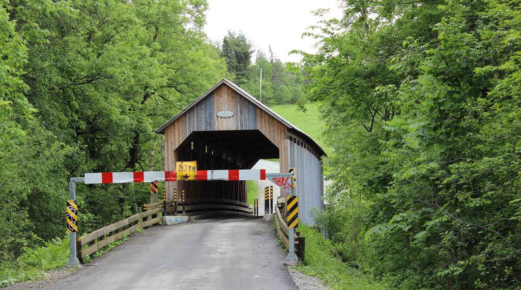 Eustis Covered Bridge by pegase1972