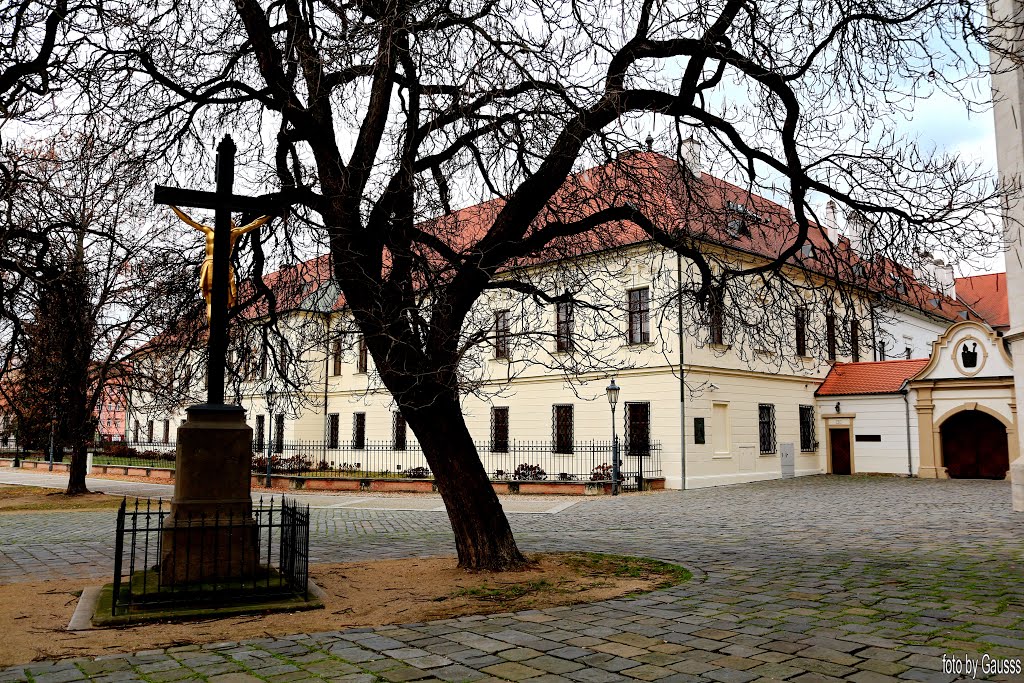 Brno, Czech Republic - Óváros, Mendel Múzeum by Gausss