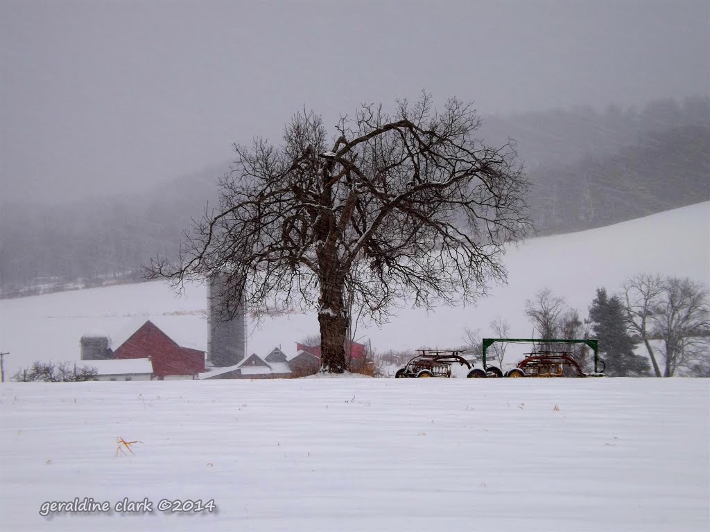 (copyrighted) 12/14/13 Carr Farm by Geraldine Clark