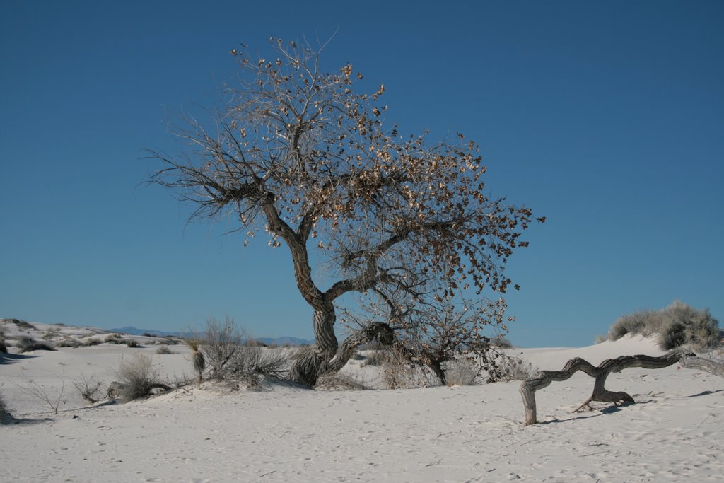 White Sands by LindseySmith