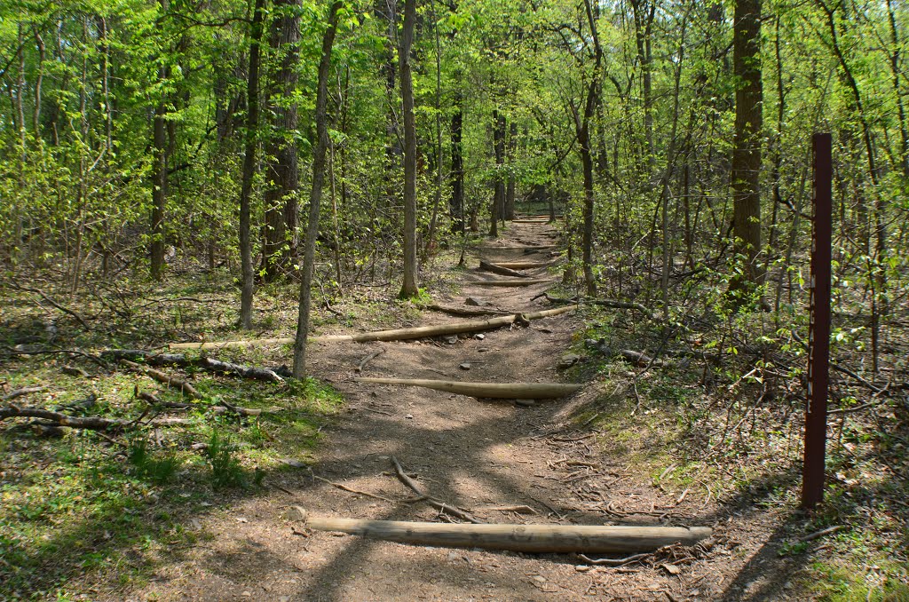 Stairs to Maryland Height by rcmori