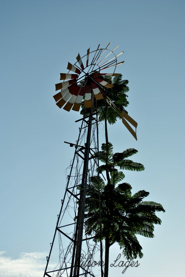 Parque Ipanema by Nilson Lages