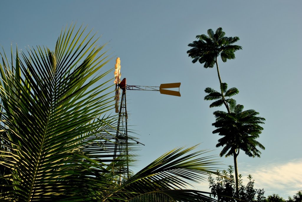 Parque Ipanema by Nilson Lages