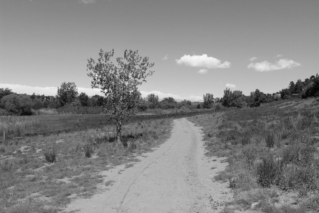 Willow Creek Trail (2013) by Mayer-Photogaphy