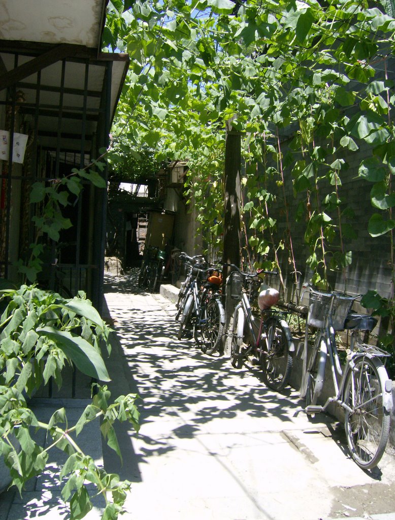 Hutong by Confucius temple by B.Garberg