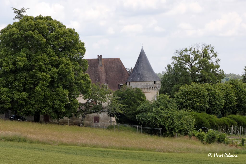 24 Trélissac - Lauterie Château 2014 by H. Rebours