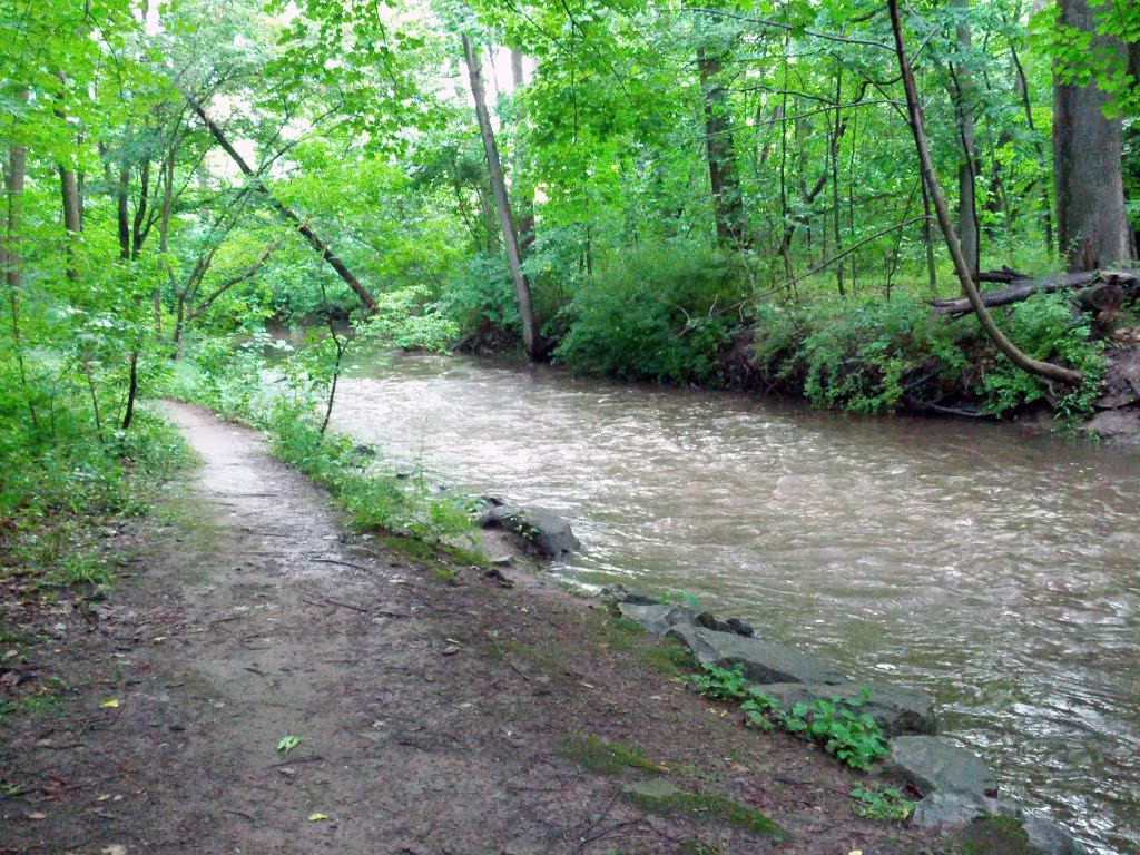 Sawyer Park creek by Rochester Parks